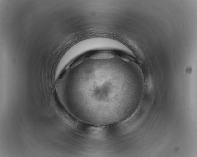 X0000094450170200711151435