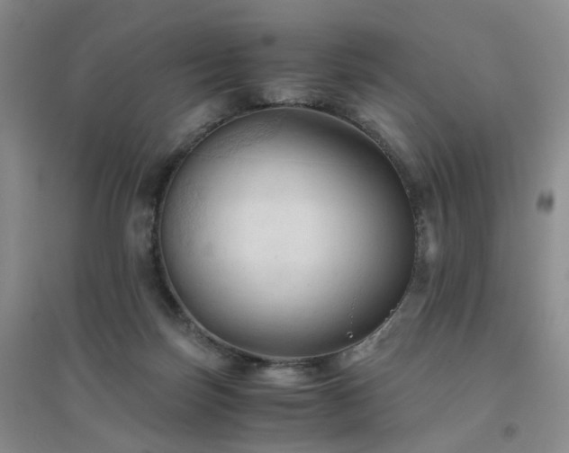 X0000094450171200711151435