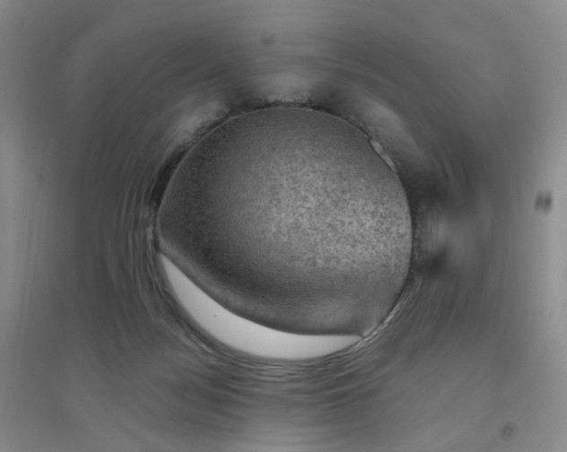 X0000094450172200711151435