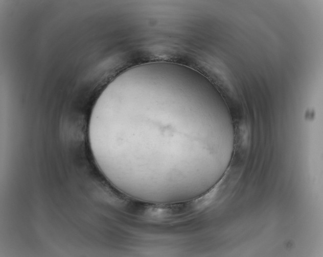 X0000094450174200711151435