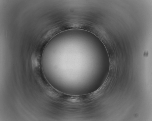 X0000094450175200711151435