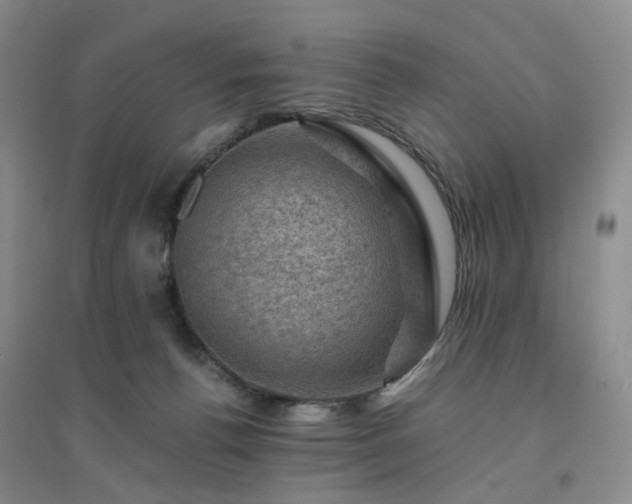 X0000094450176200711151435