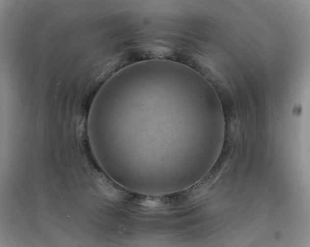 X0000094450177200711151435