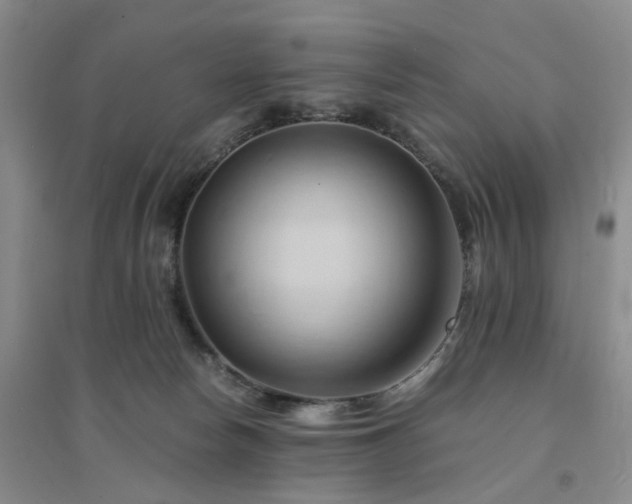 X0000094450178200711151435