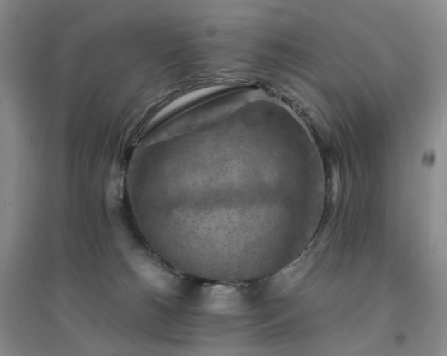 X0000094450180200711151435