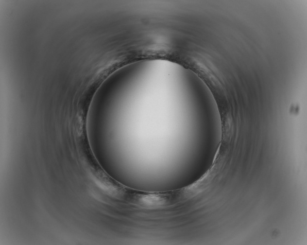 X0000094450183200711151435