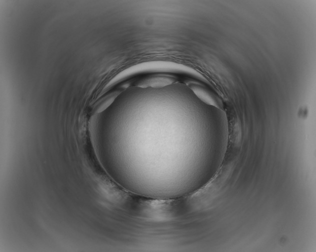 X0000094450184200711151435