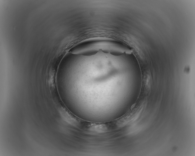 X0000094450185200711151435
