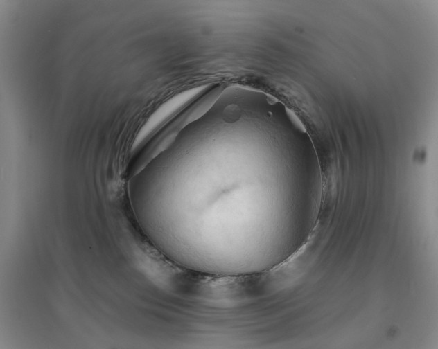 X0000094450186200711151435