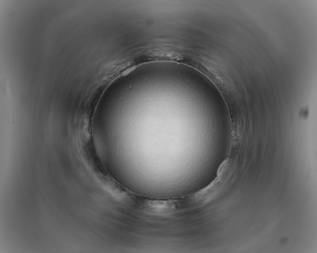 X0000094450187200711151435