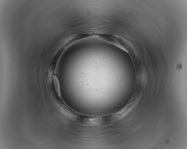 X0000094450188200711151435