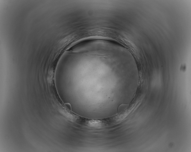 X0000094450189200711151435