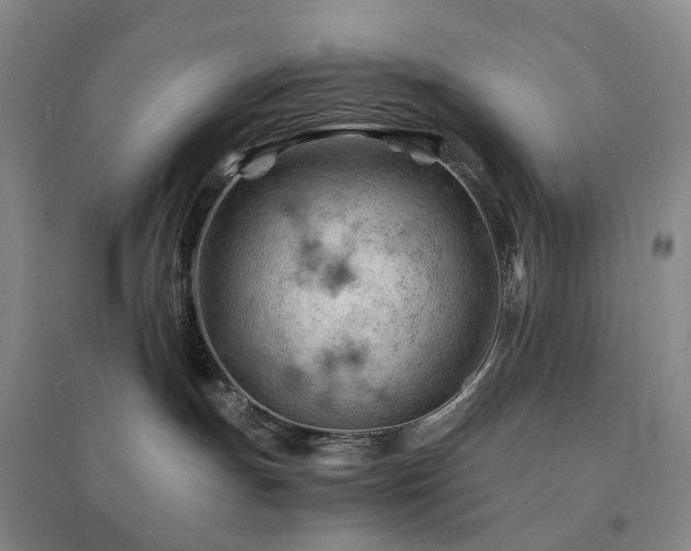 X0000094450191200711151435