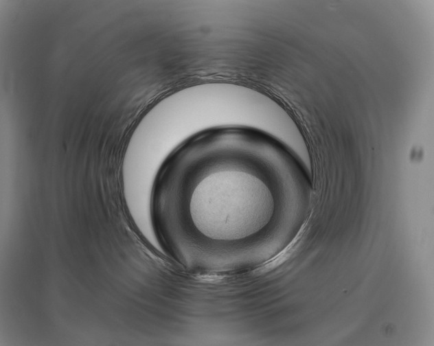 X0000094450192200711151435