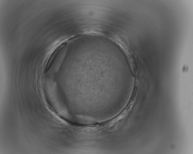 X0000094450193200711151435