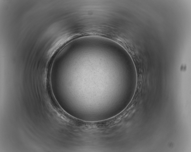 X0000094450194200711151435