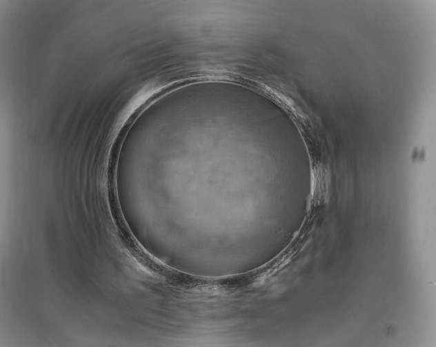 X0000094450195200711151435