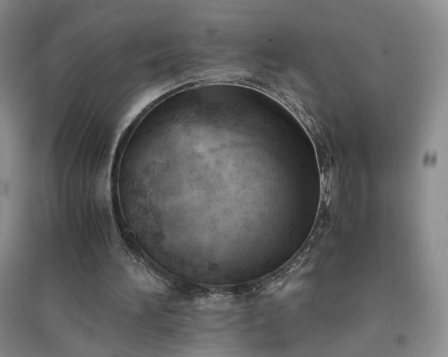 X0000094450196200711151435