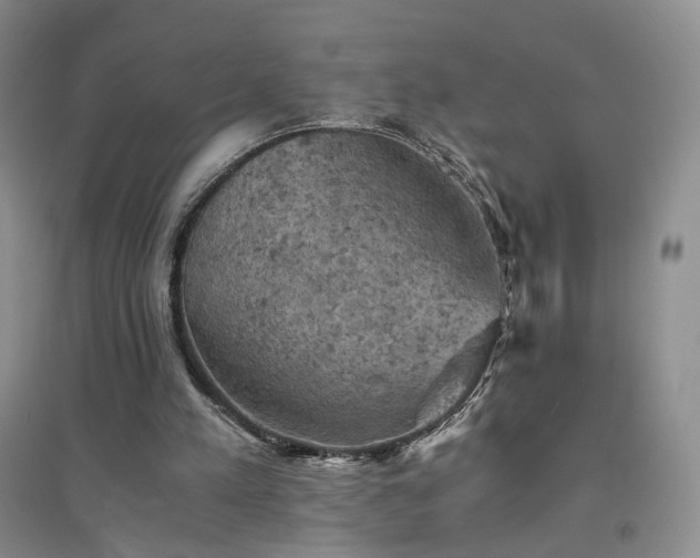 X0000094450197200711151435