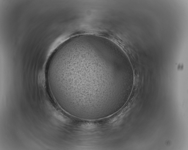 X0000094450198200711151435