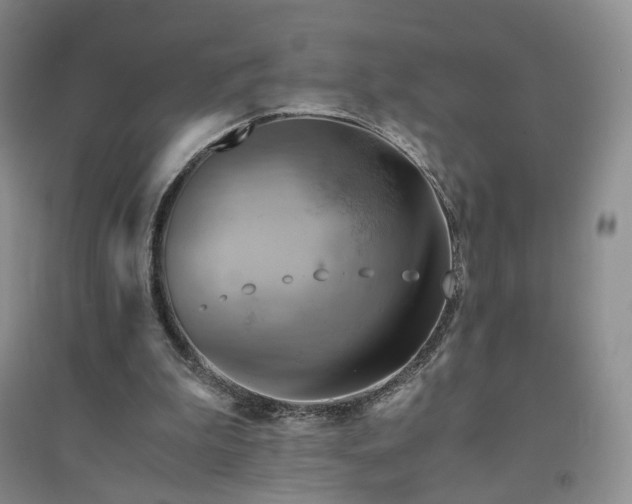 X0000094450199200711151435