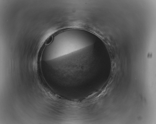 X0000094450200200711151435