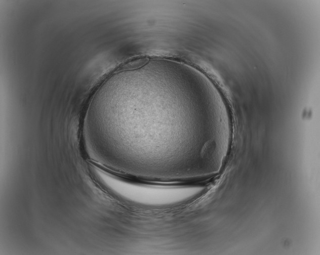 X0000094450201200711151435