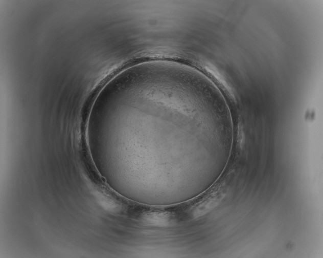 X0000094450202200711151435