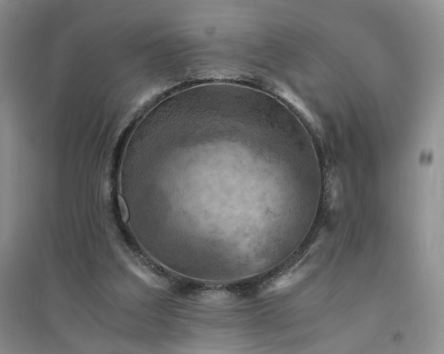 X0000094450203200711151435