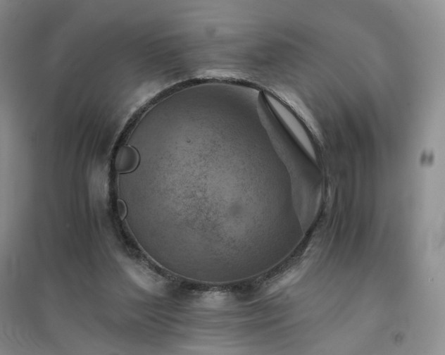 X0000094450204200711151435