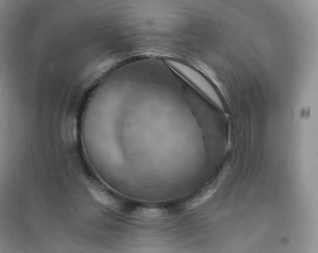 X0000094450205200711151435