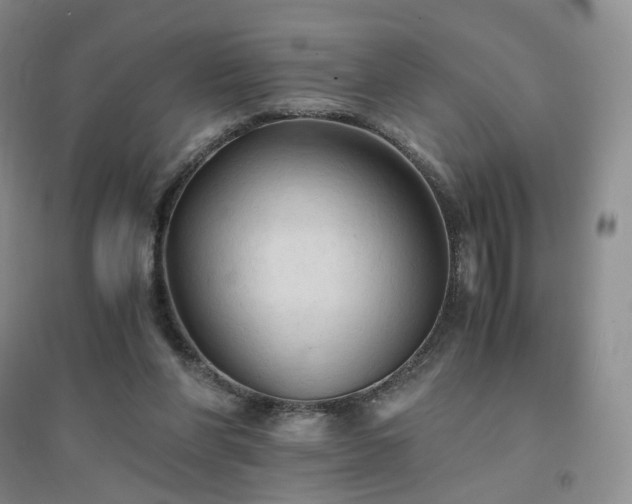 X0000094450206200711151435