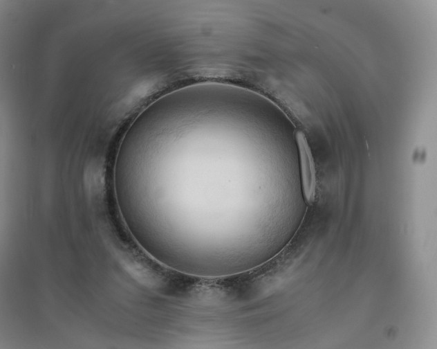 X0000094450207200711151435