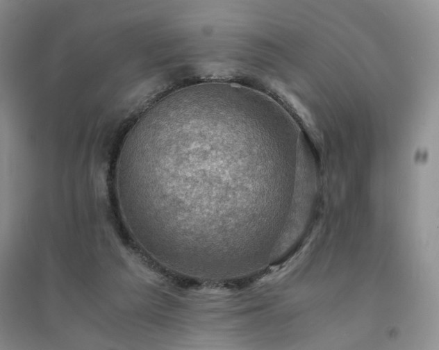 X0000094450209200711151435