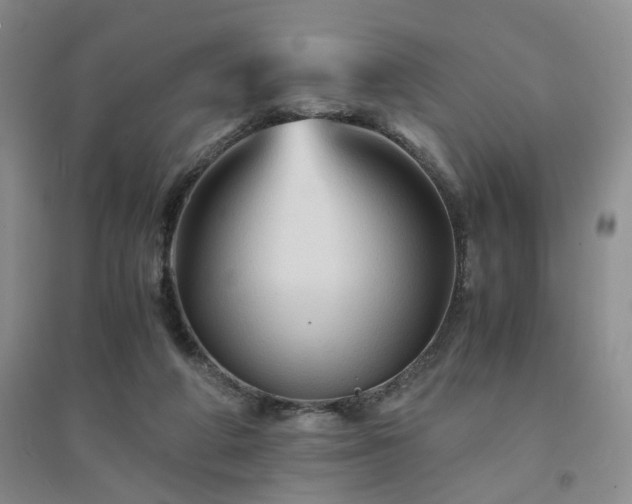 X0000094450210200711151435