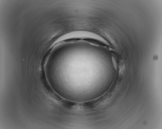 X0000094450211200711151435
