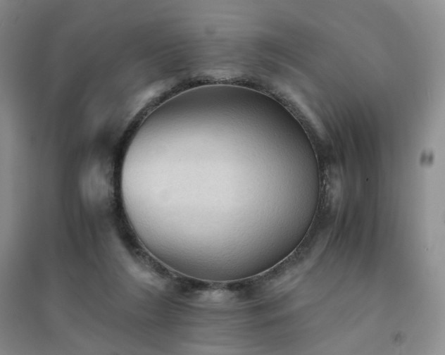 X0000094450212200711151435