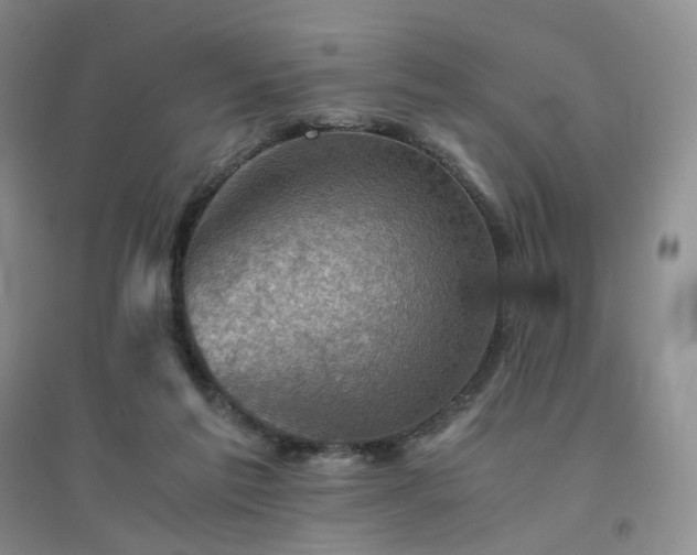 X0000094450213200711151435