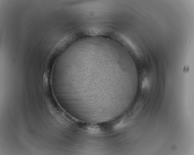 X0000094450214200711151434
