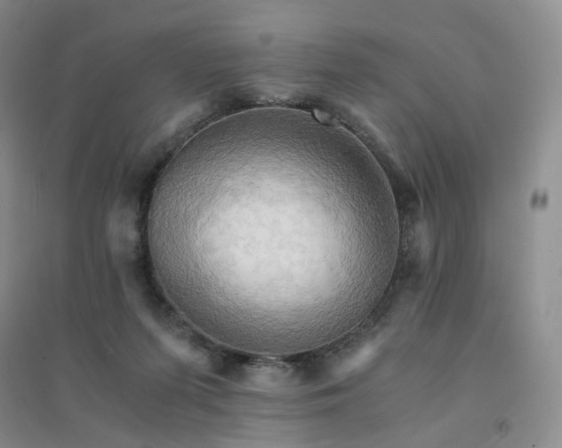 X0000094450215200711151434