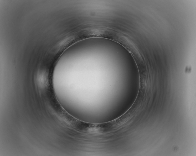 X0000094450216200711151434