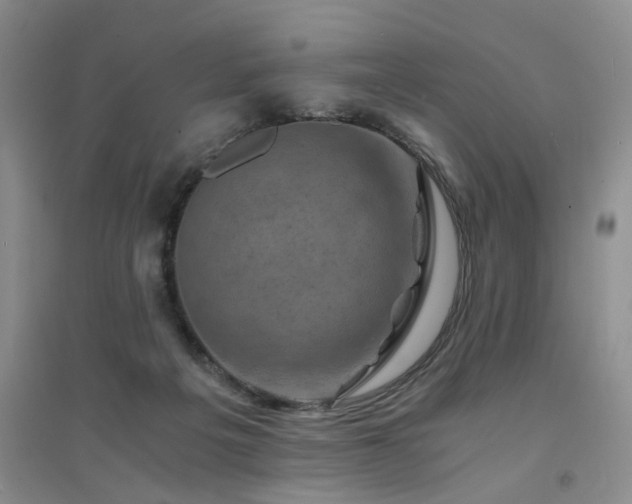 X0000094450217200711151434