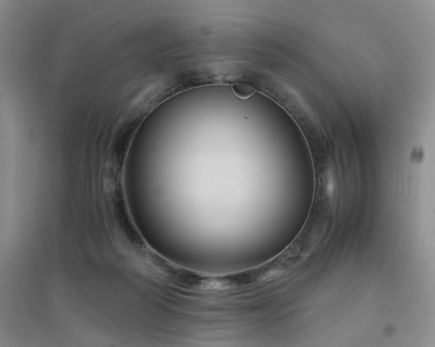 X0000094450218200711151434