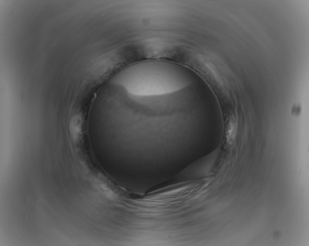 X0000094450219200711151434