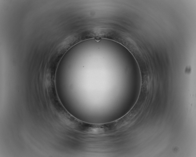 X0000094450220200711151434