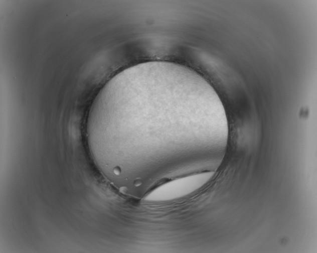 X0000094450221200711151434