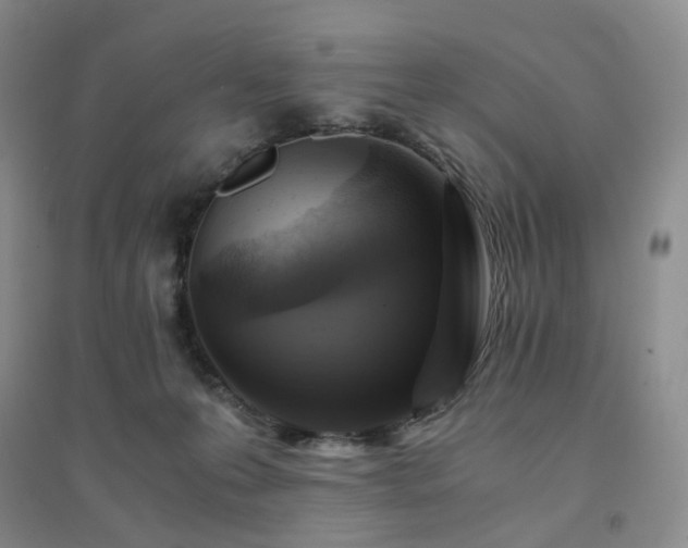 X0000094450223200711151434