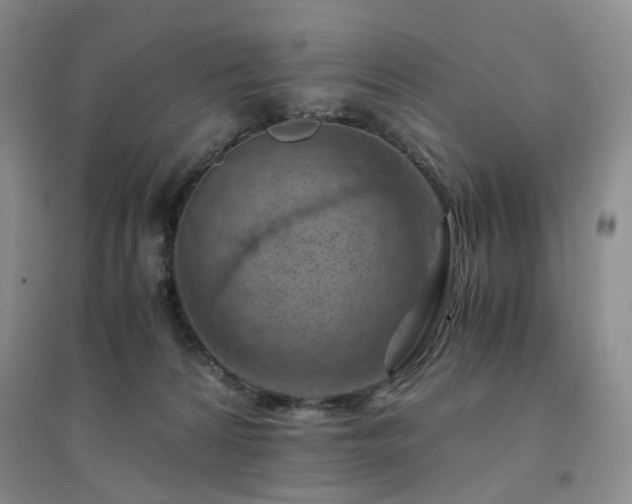 X0000094450224200711151434