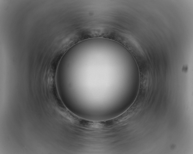 X0000094450226200711151434