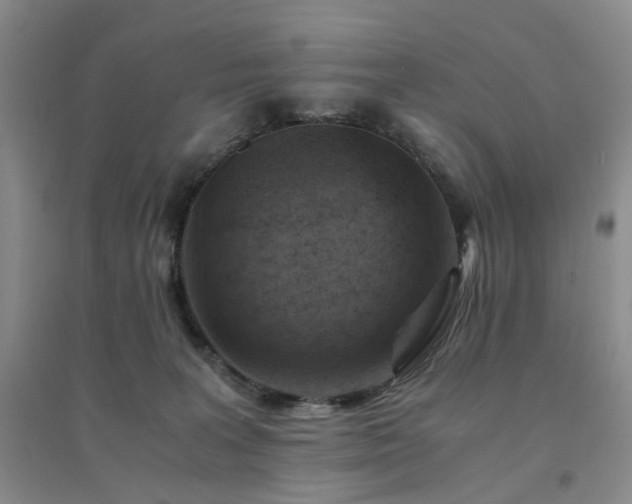 X0000094450227200711151434